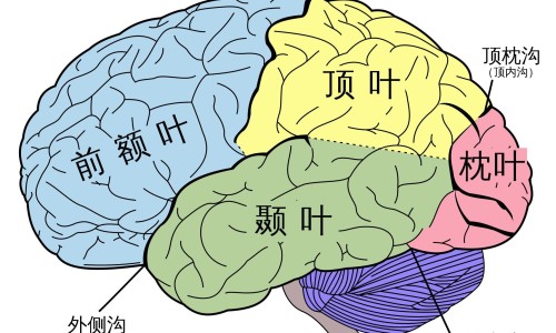 联邦胰岛素笔价格网联邦的胰岛素知识网站,分享联邦的胰岛素大全